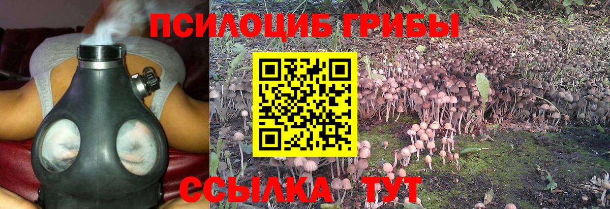 Галлюциногенные грибы Psilocybine cubensis  Вход с VPN  Южноуральск 