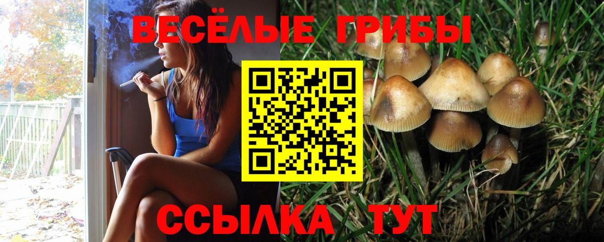 Галлюциногенные грибы ЛСД Южноуральск
